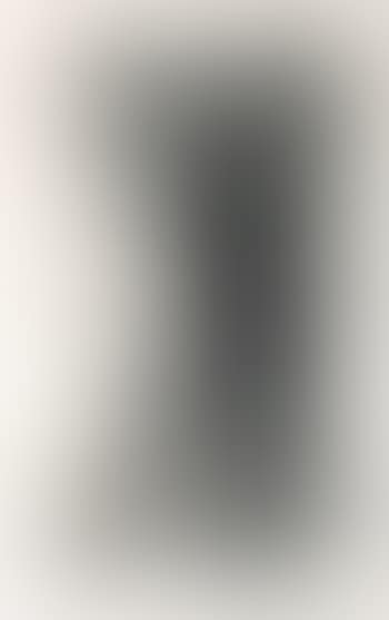L 10 (preview)