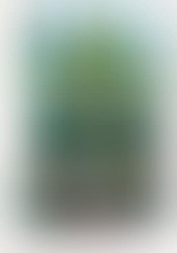 10002 Nights Homo Humus Come Va (preview)