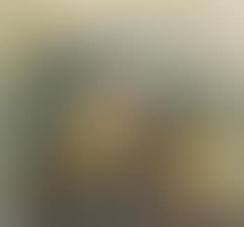 Leda und der Schwan (preview)