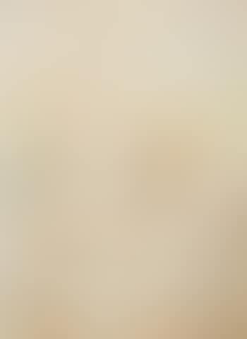 Yucca (preview)