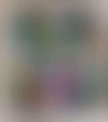 [Untitled] (preview)
