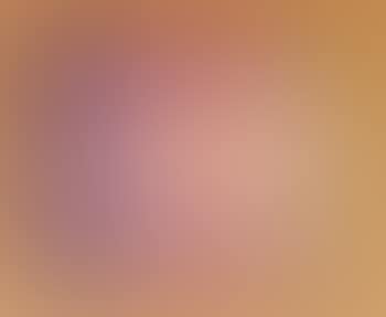 [Untitled] (preview)