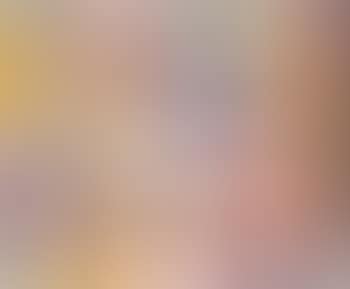 [Untitled] (preview)