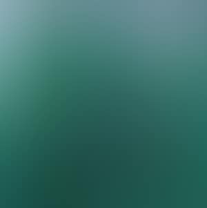 Bamboo Forest (preview)