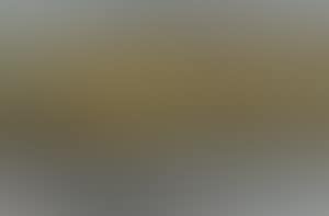 Landscape (preview)