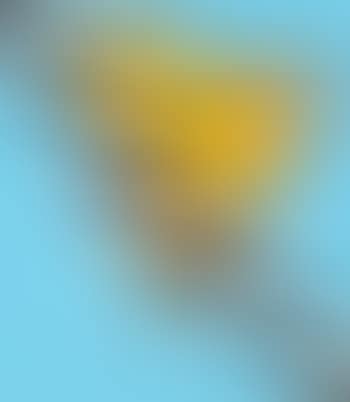 Landscape (preview)