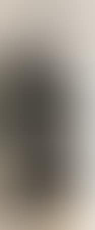 Landscape After Zhangxun (preview)