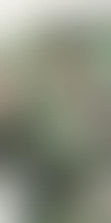 Landscape (preview)
