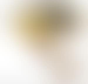 Loquat; Calligraphy (preview)