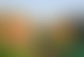 La valle (preview)