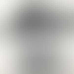 Landscape (preview)