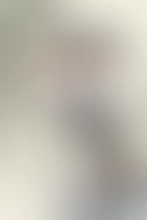 [Untitled] (preview)
