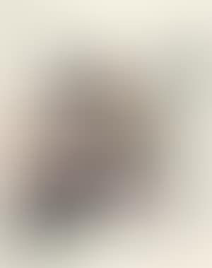 [Untitled] (preview)