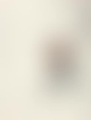 [Untitled] (preview)