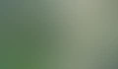 Summer day along a river (preview)