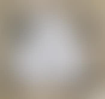 Sitzende (preview)