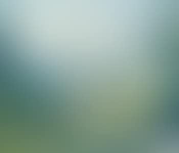 Sommerlandschaft mit Booten auf einem See (preview)
