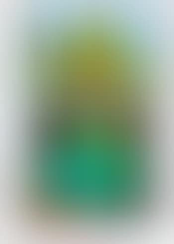 10002 Nights Homo Humus come va how do you do (preview)
