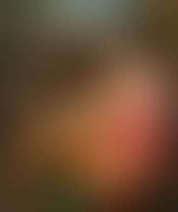 The Holy Family with Saint John the Baptist (preview)