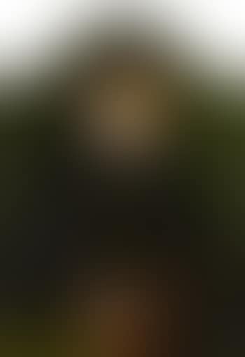 Portrait of a Man in a Black Beret and White Ruff (preview)