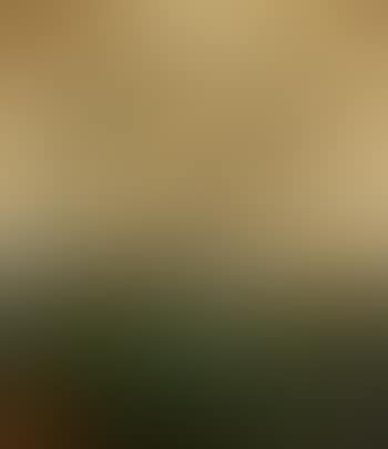 Birds in a Tree before a Landscape (preview)