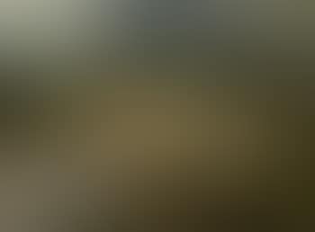 Northern Mountain Landscape with a Stream (preview)