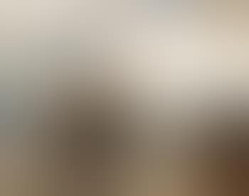 Sailing Boats Landing on a Beach (preview)