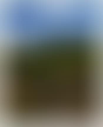 A Summer Landscape in the Black Forest (preview)