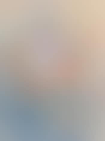 Chrysanthemes (preview)