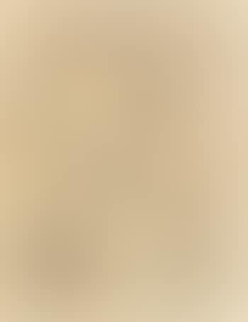 Nude with Mirror (preview)