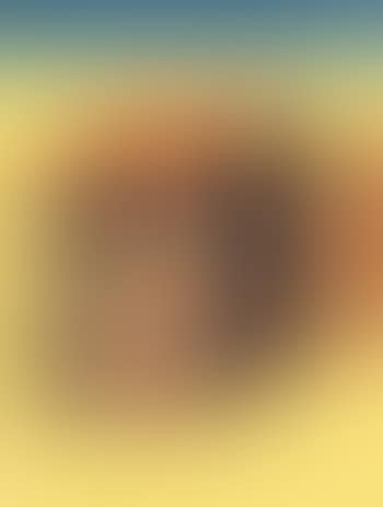 [Untitled] (preview)