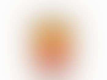 Campbell's Soup Can (Tomato) (preview)
