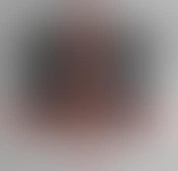 [Untitled] (preview)