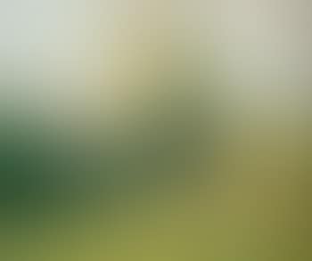 Paysage aux peupliers (preview)