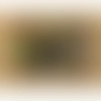 Untitled from Regentag Portfolio (preview)