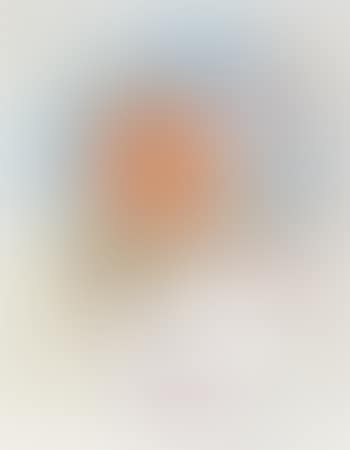 Zero's Friend (preview)