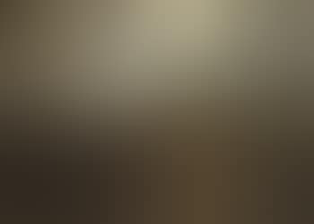 Landscape with a Forest (preview)