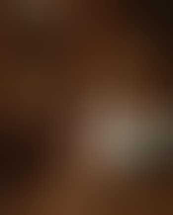 Junge Dame im Interieur (preview)
