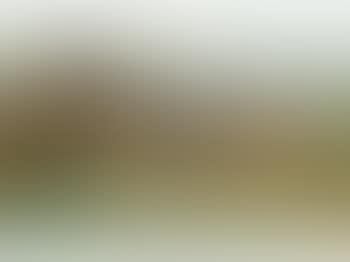 Pferderennen (preview)