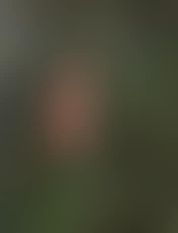 Don Quijote (preview)