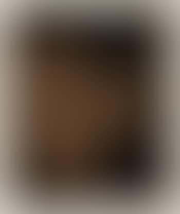 Visage (preview)