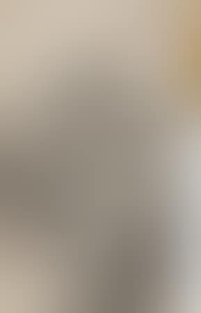 Landscape (preview)
