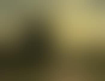 Landschaft bei Luzern (preview)