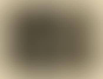 Samuel Beckett. Foirades - Fizzles. Gravures Jasper Johns (preview)