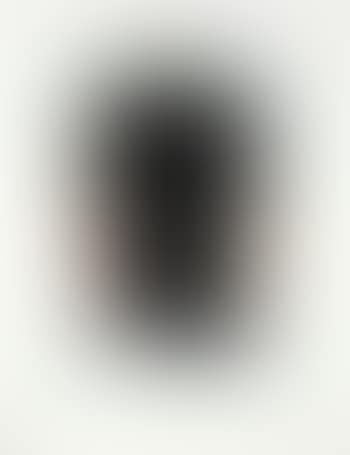 orint blae / blae.. p. sed transperent (preview)