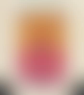 Campbell's Soup Can (Tomato) (preview)