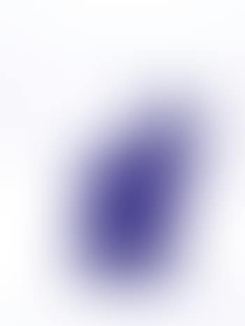 Cloned cat with pet bottle blue (preview)