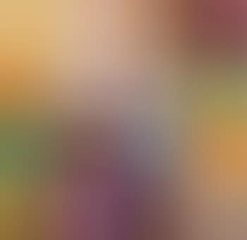 Ordine e disordine (preview)