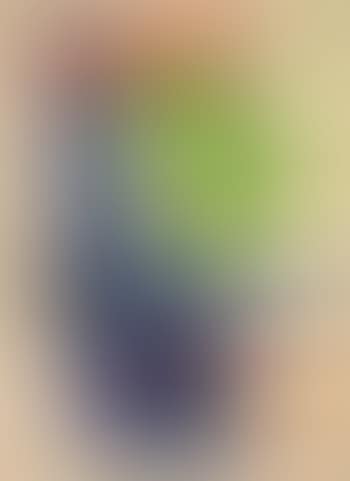 Orbis (preview)
