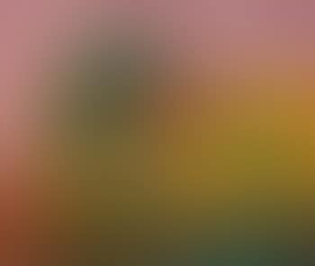Nature morte aux fruits (preview)